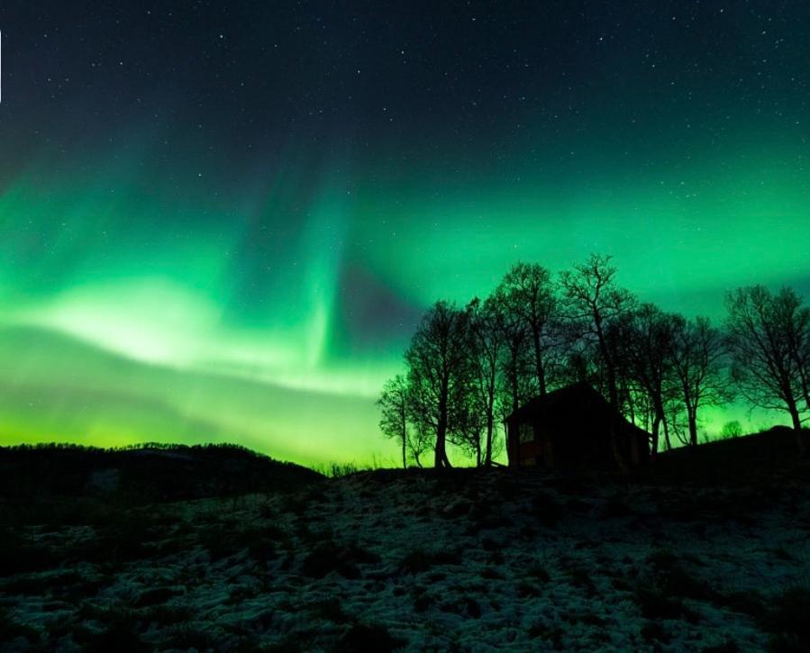 Harstad, All Seasons 外观 照片